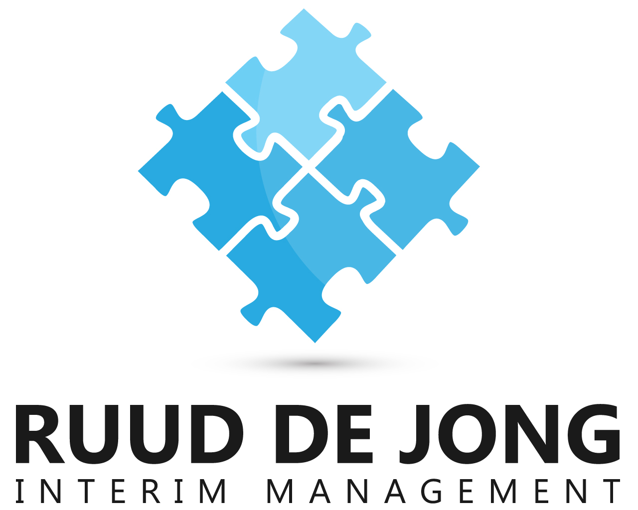 Ruud de Jong Interim